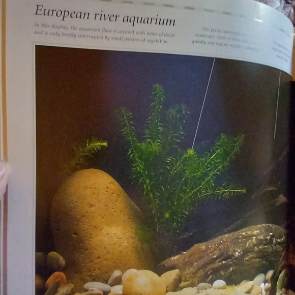Aquarium Designs Inspired by Nature. Hardback - Picture 9 of 14